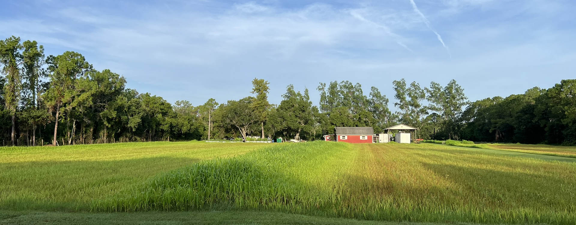 blumenberry farms header blumenberry farms header