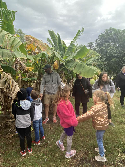farm days at Blumenberry Farms