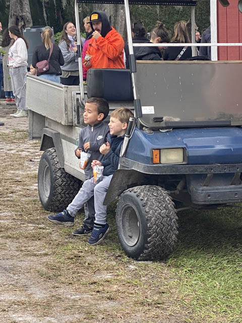 farm days at Blumenberry Farms