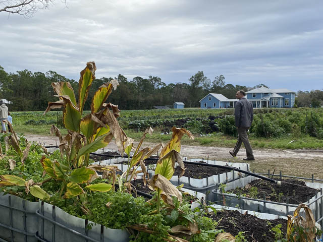 walking the farm at Blumenberry Farms