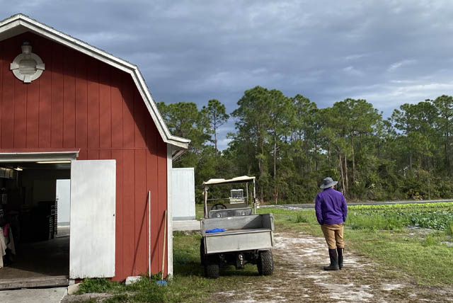 get involved in farming get involved in farming