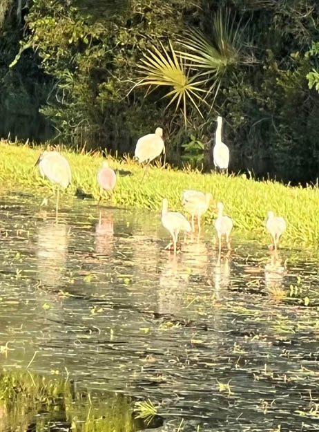 sustainable farming mobile sustainable farming