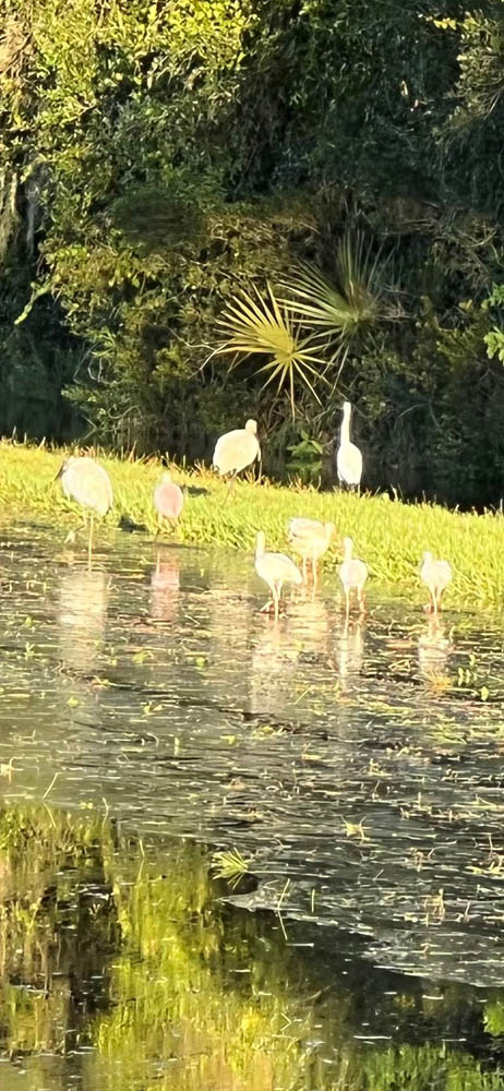 sustainable farming sustainable farming